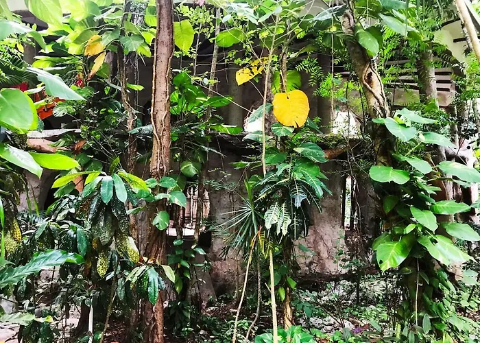Portal Xibalba * Playa del Carmen